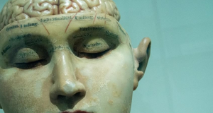 Veinte años de Neuroética